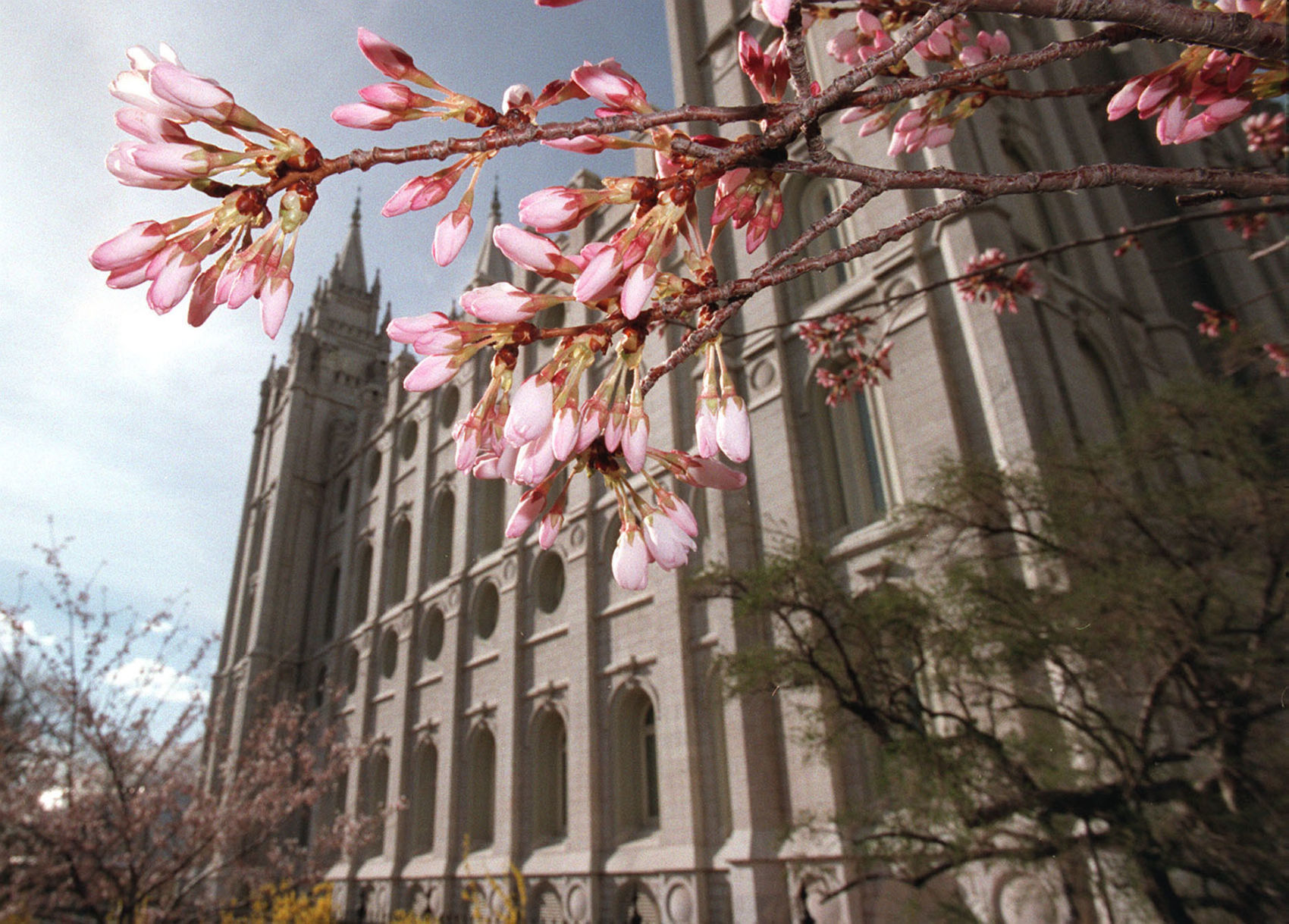 Mormon LDS LAtter-day Saints temple